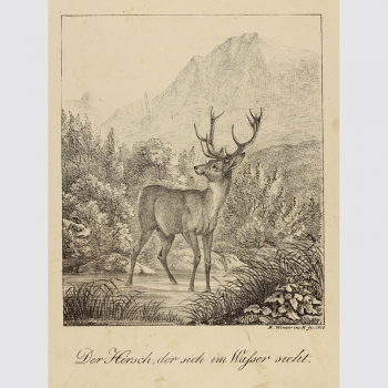 Inkunabel der Lithographie von Raphael Wintter: Hirsch am Wasser, 1816