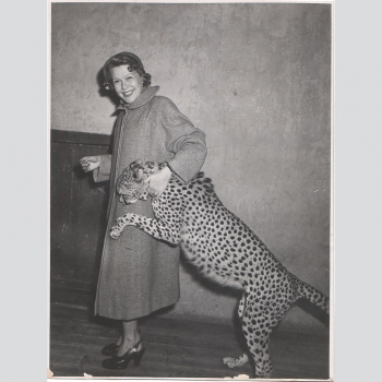 Benkhoff, Fita. Mit einem Leoparden, Widmung und Signatur, 1950
