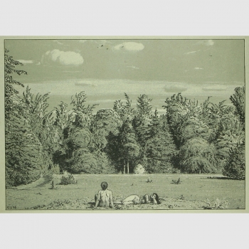 Lührig, Georg: Im Paradies. Zwei Akte vor dem Wald.