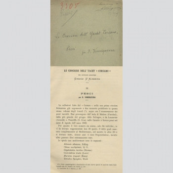 Le Crociere dell’Yacht Corsaro del Capitano Armatore. D. Vinciguerra, signiert