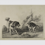 Bartsch, Adam von: Wenn Hund und Katze aufeinander treffen, um 1800