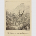 Inkunabel der Lithographie von Raphael Wintter: Hirsch am Wasser, 1816