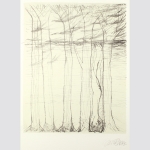 Irmel Droese