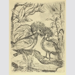 Räder, Christel: Kronentauben-Pärchen. Radierung 1962