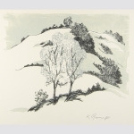 Karl Braunger