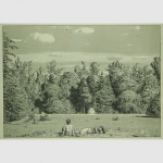 Lührig, Georg: Im Paradies. Zwei Akte vor dem Wald.