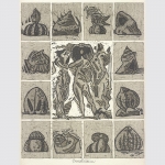 Strauchmann, Went: Hommage à Botticelli. 1976.