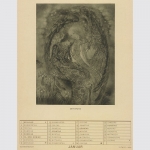 Sulamith Wülfing-Kalender 1936 - 12 Kupferdruckbilder